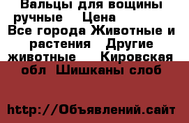 Вальцы для вощины ручные  › Цена ­ 10 000 - Все города Животные и растения » Другие животные   . Кировская обл.,Шишканы слоб.